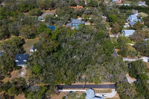 Land in Tampa, Florida № 2143519 - photo 30