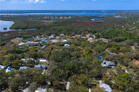 Land in Tampa, Florida № 2143519 - photo 24