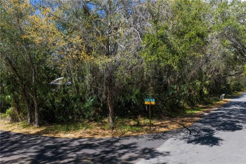 Land in Tampa, Florida № 2143519 - photo 2
