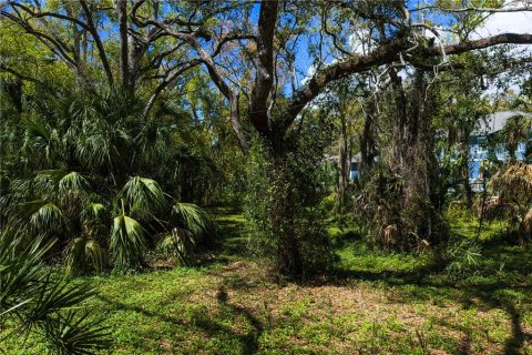 Land in Tampa, Florida № 2143519 - photo 8