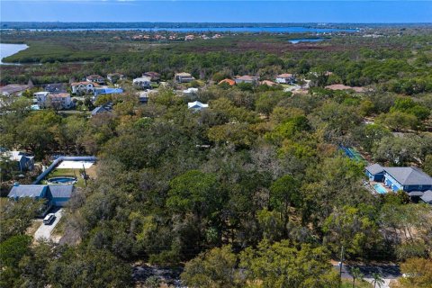 Land in Tampa, Florida № 2143519 - photo 16