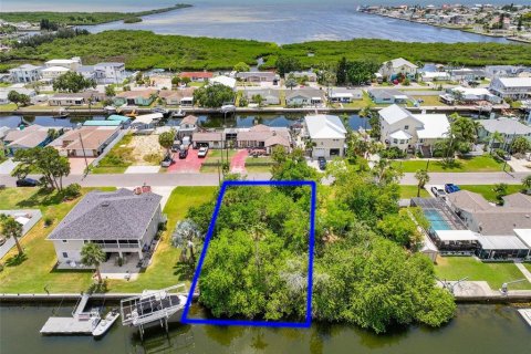 Land in Hudson, Florida № 2150590 - photo 5