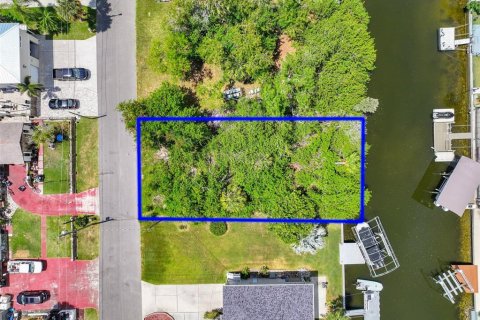 Land in Hudson, Florida № 2150590 - photo 4