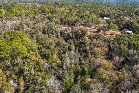 Terreno en venta en Webster, Florida № 2165867 - foto 18