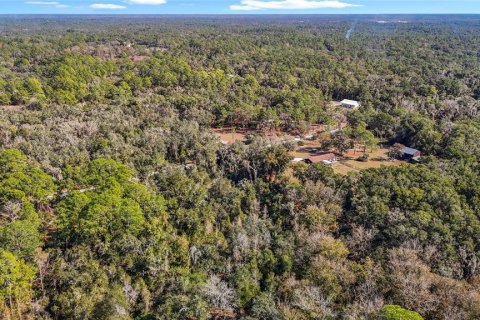 Terreno en venta en Webster, Florida № 2165867 - foto 22