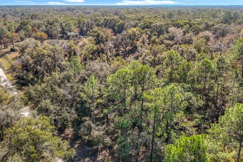 Terreno en venta en Webster, Florida № 2165867 - foto 7