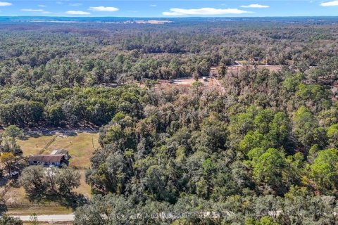 Terreno en venta en Webster, Florida № 2165867 - foto 4
