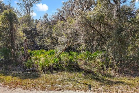 Terreno en venta en Webster, Florida № 2165867 - foto 11