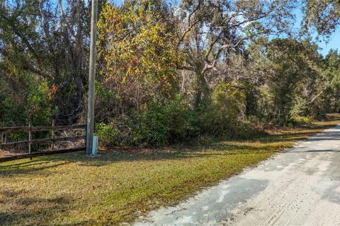 Terreno en venta en Webster, Florida № 2165867 - foto 12
