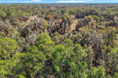 Terreno en venta en Webster, Florida № 2165867 - foto 15