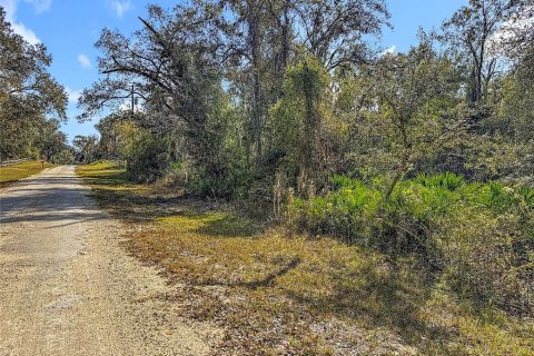 Terreno en venta en Webster, Florida № 2165867 - foto 14