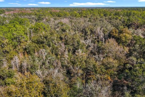 Terreno en venta en Webster, Florida № 2165867 - foto 17
