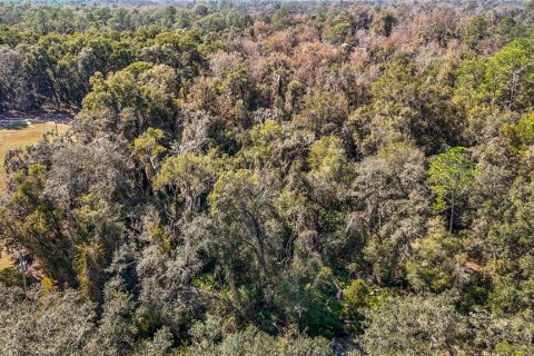 Terreno en venta en Webster, Florida № 2165867 - foto 9