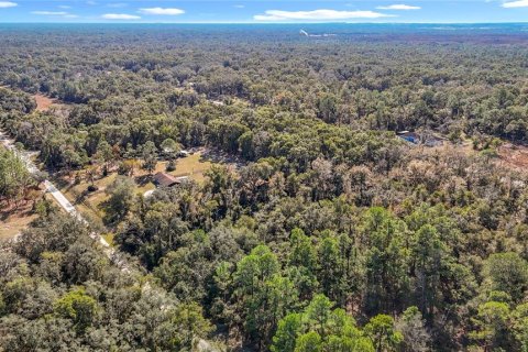 Terreno en venta en Webster, Florida № 2165867 - foto 5