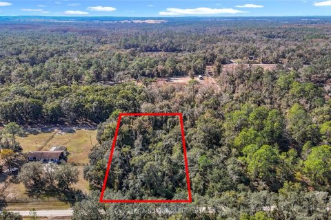 Terreno en Webster, Florida № 2165867