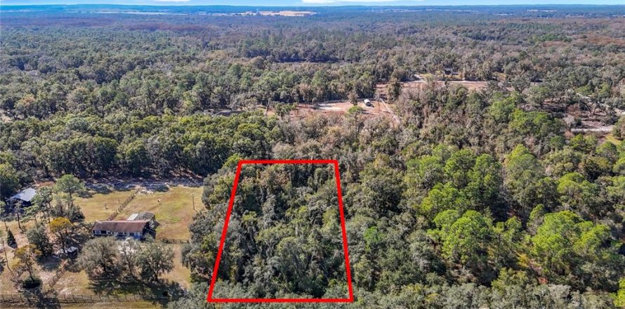Terreno en Webster, Florida № 2165867