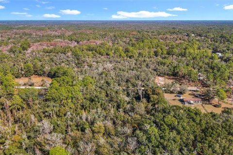 Terreno en venta en Webster, Florida № 2165867 - foto 23