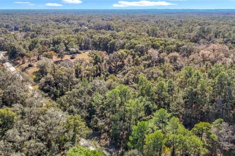 Terreno en venta en Webster, Florida № 2165867 - foto 6