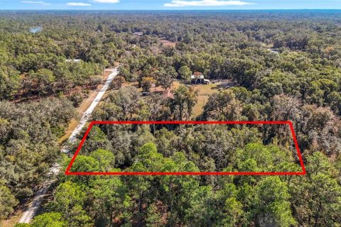 Terreno en venta en Webster, Florida № 2165867 - foto 2