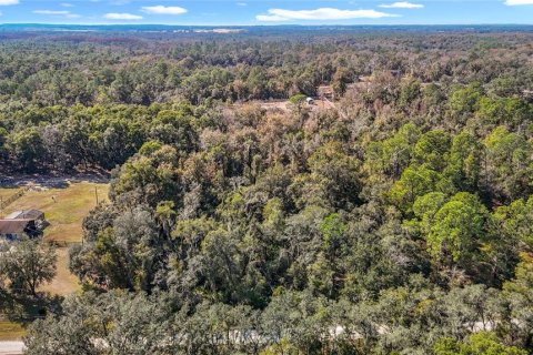 Terreno en venta en Webster, Florida № 2165867 - foto 8