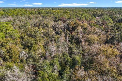 Terreno en venta en Webster, Florida № 2165867 - foto 16