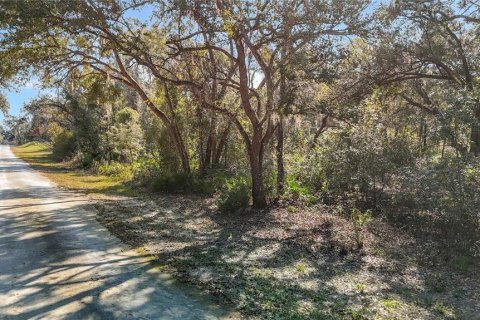 Terreno en venta en Webster, Florida № 2165867 - foto 10