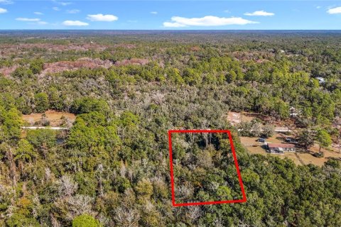 Terreno en venta en Webster, Florida № 2165867 - foto 3