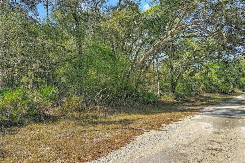Terreno en venta en Webster, Florida № 2165867 - foto 13