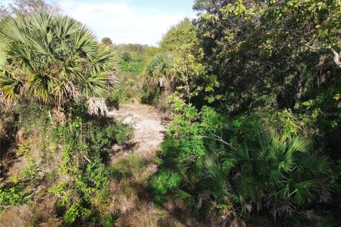 Terrain à vendre à Venice, Floride № 2229165 - photo 4