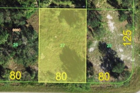 Land in Punta Gorda, Florida № 2158952 - photo 6