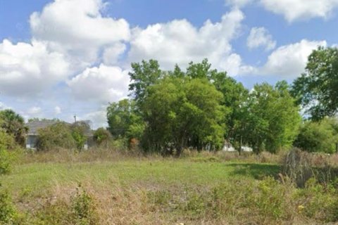 Land in Punta Gorda, Florida № 2158952 - photo 4