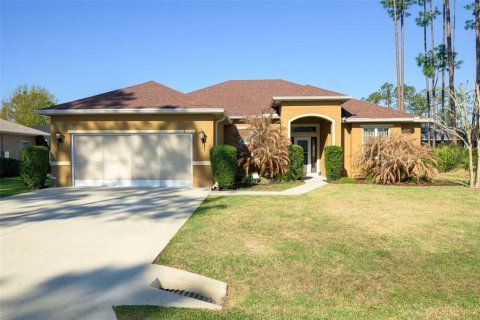 Villa ou maison à Palm Coast, Floride 3 chambres, 172.15 m2 № 2151094