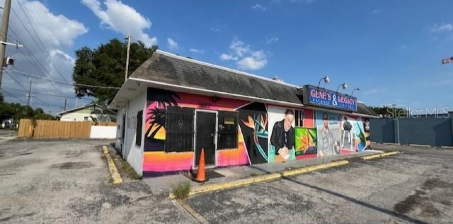 Immobilier commercial à Tampa, Floride 170.01 m2 № 1195452