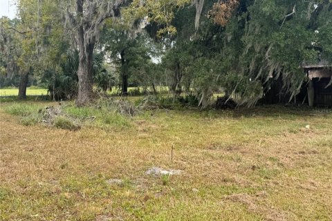Land in Starke, Florida № 2234946 - photo 4