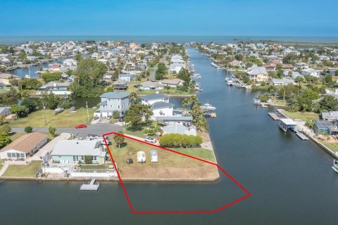 Land in Hernando Beach, Florida № 1295288 - photo 5