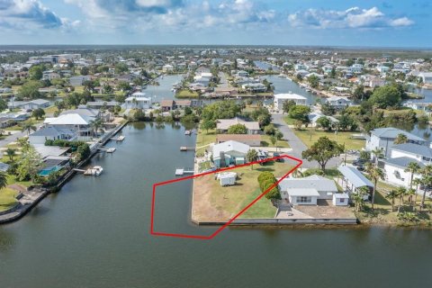 Land in Hernando Beach, Florida № 1295288 - photo 10