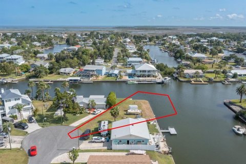 Land in Hernando Beach, Florida № 1295288 - photo 9