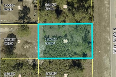 Land in Lehigh Acres, Florida № 2029595