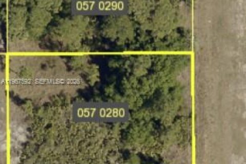 Land in Lehigh Acres, Florida № 2029595 - photo 2