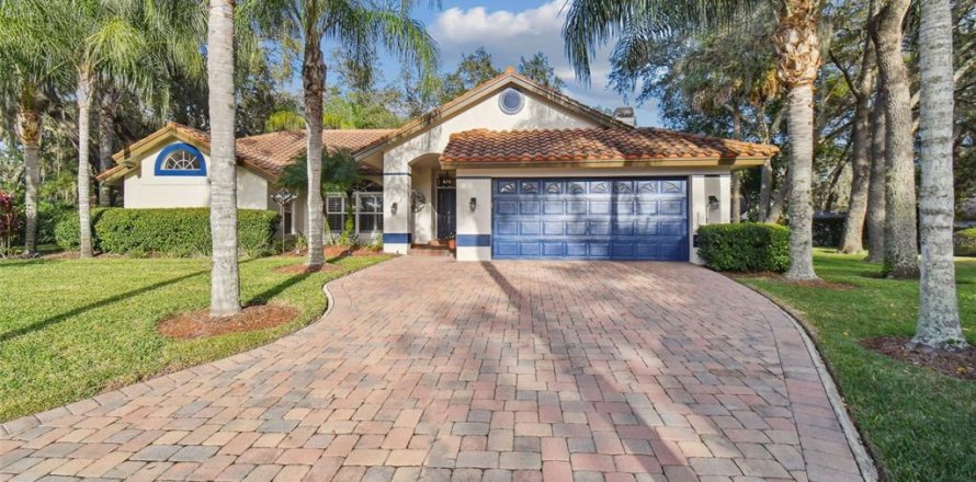 House in Wesley Chapel, Florida 4 bedrooms, 224.27 sq.m. № 1437335