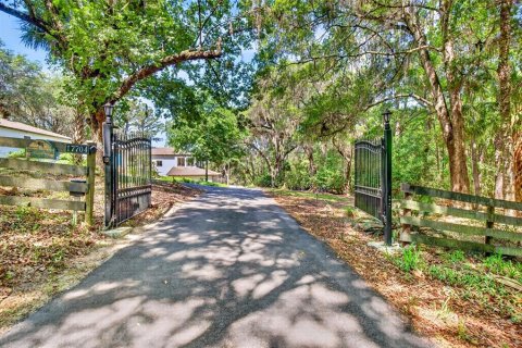 Casa en venta en Micanopy, Florida, 5 dormitorios, 455.87 m2 № 2195747 - foto 5