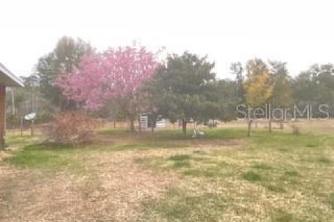 Commercial property in Leesburg, Florida 243.78 sq.m. № 2220223 - photo 11