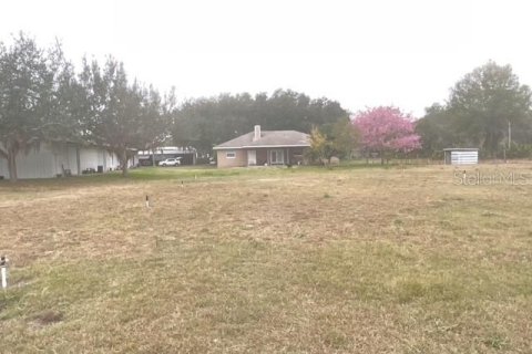Commercial property in Leesburg, Florida 243.78 sq.m. № 2220223 - photo 6