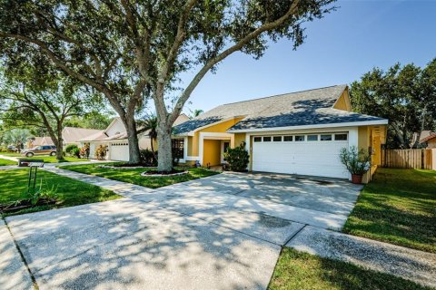 Villa ou maison à vendre à Tampa, Floride: 4 chambres, 193.33 m2 № 1905184 - photo 1