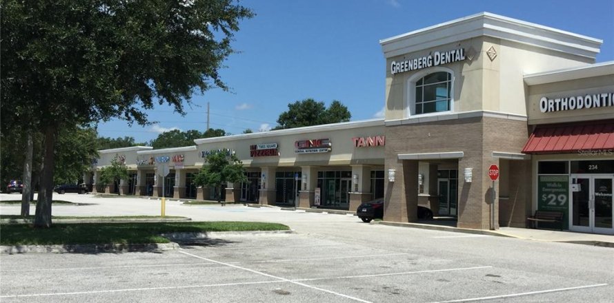 Propiedad comercial en Tampa, Florida 4259.57 m2 № 1615120