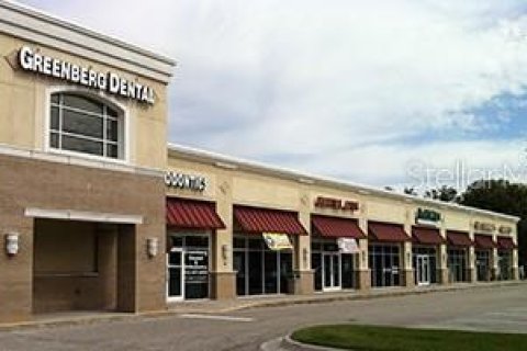 Propiedad comercial en alquiler en Tampa, Florida, 4259.57 m2 № 1615120 - foto 6