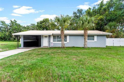 Villa ou maison à vendre à Umatilla, Floride: 3 chambres, 179.21 m2 № 1904608 - photo 1