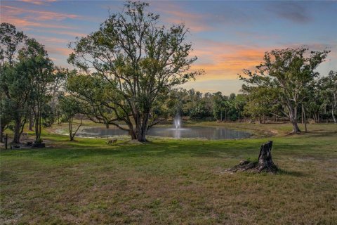 Terreno en venta en Geneva, Florida № 1533405 - foto 5