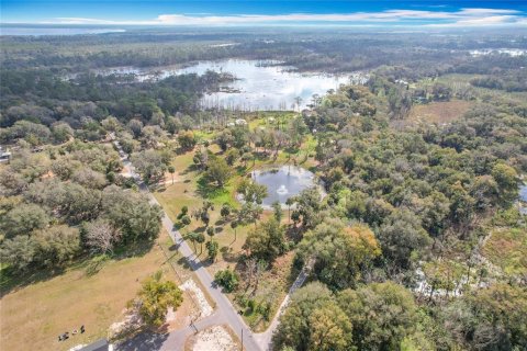 Terreno en venta en Geneva, Florida № 1533405 - foto 9