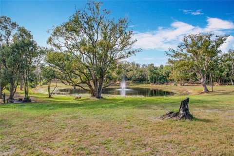 Terreno en venta en Geneva, Florida № 1533405 - foto 20